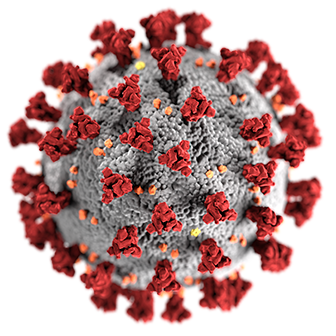 COVID-19 Virus