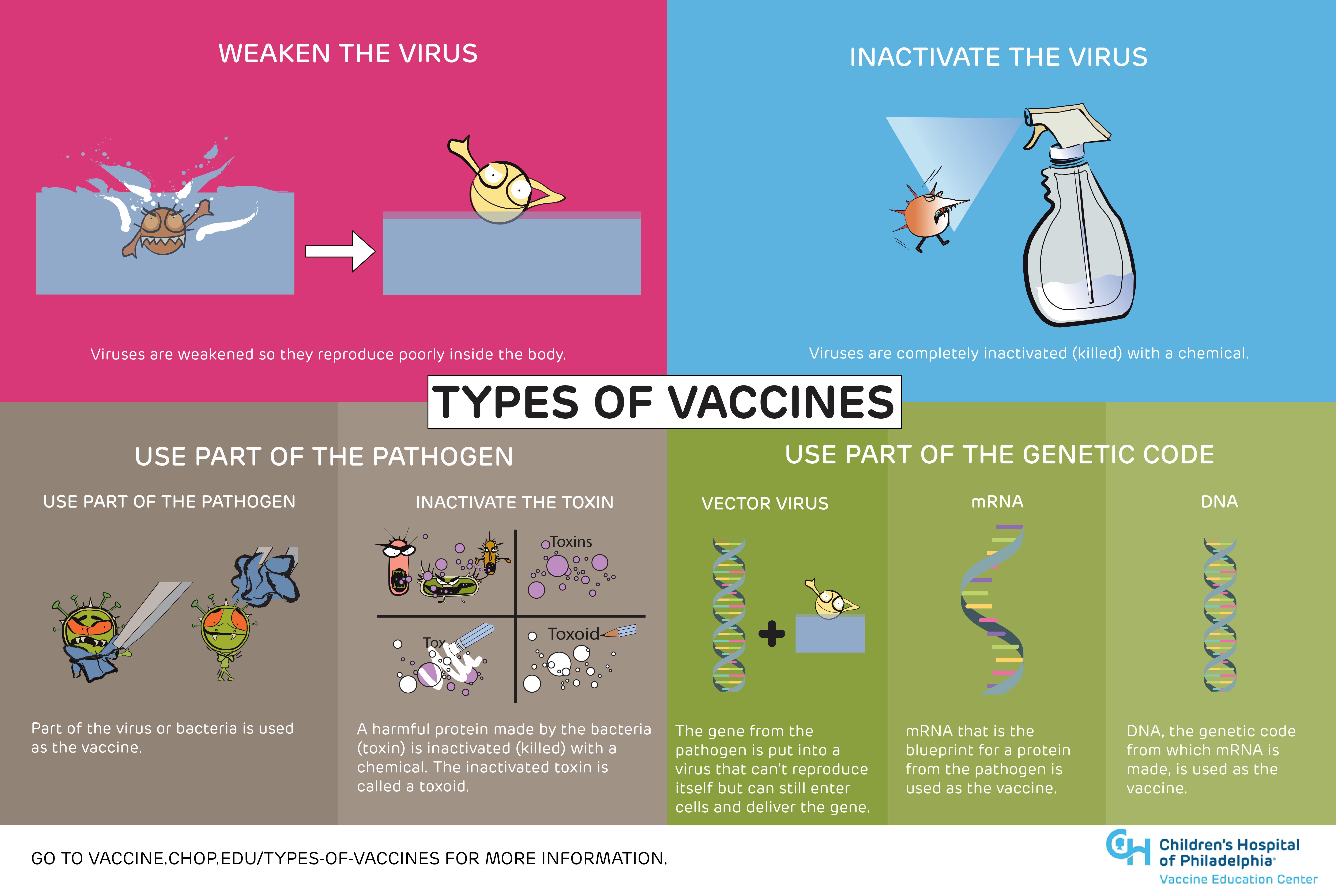 Vaccine Types