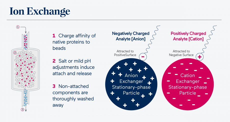 Ion Exchange Diagram