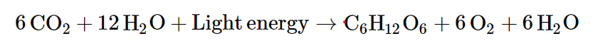 Photosynthesis chemical reaction