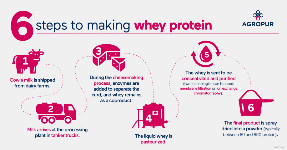 Steps to make whey protein